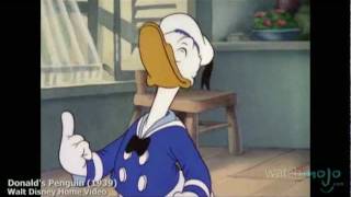 The History of Donald Duck [upl. by Nolyak]