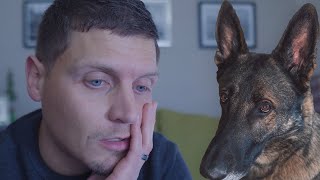 What I Wish I Knew Before Getting a German Shepherd [upl. by Aizitel]