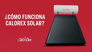 ¿Cómo funciona el calentador Calorex Solar [upl. by Elleiram]