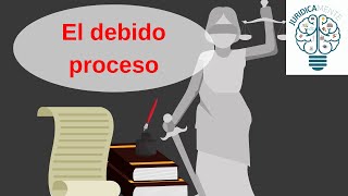 El debido proceso [upl. by Paske118]