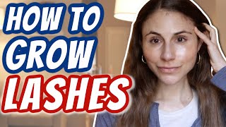 How to GROW LASHES Dr Dray [upl. by Wsan381]