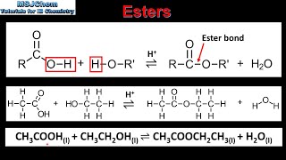 S322 Esters [upl. by Joiner]