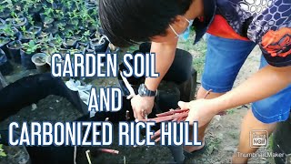 Garden soil and carbonized rice hull [upl. by Kcirdef]