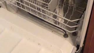 Hotpoint dishwasher how to start  guide [upl. by Corrianne]