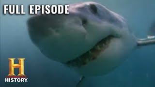 MonsterQuest TERRIFYING 60 FOOT SHARK  Full Episode S3 E7  History [upl. by Schaefer364]