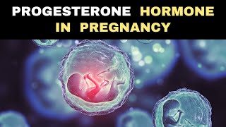 Progesterone The Miracle Hormone during Pregnancy [upl. by Cori]