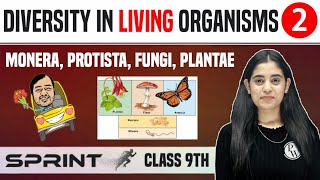 Diversity in Living Organisms 02  Monera Protista Fungi Plantae  Class 9  NCERT  Sprint [upl. by Lacim]