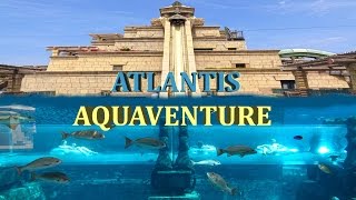 ATLANTIS AQUAVENTURE WATER PARK  THE PALM  DUBAI 4K [upl. by Aivata]