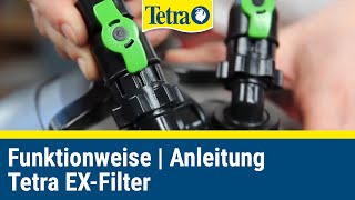 So funktioniert ein AquariumFilter  TETRA EXFilter Anleitung [upl. by Sgninnej]