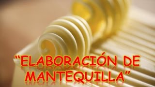 PROCESO DE ELABORACIÓN DE MANTEQUILLA  ProcesosProductivos [upl. by Omixam]