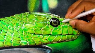 How to Draw a Realistic Snake  Time Lapse [upl. by Oiredised]