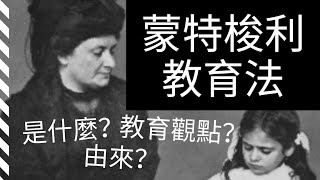 蒙特梭利教育法適合我的孩子嗎｜【新手媽媽必看】5個你不得不了解的蒙氏早教觀點 [upl. by Ahsennod]