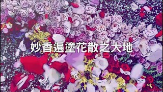 供曼達（福智青年 feat 里仁）短版 [upl. by Refinneg103]