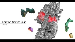 Labster Virtual Lab Enzyme Kinetics Simulation [upl. by Barris225]