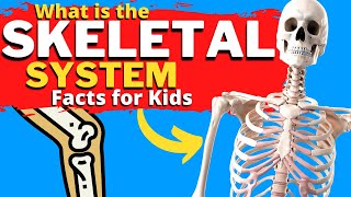 What is the SKELETAL System  How Do Bones Work  Facts for Kids [upl. by Adieren585]