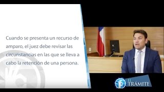 El Trámite 30 Cómo y cuándo presentar un recurso de amparo [upl. by Aleet]