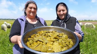 Grandma Cooked Stuffed Grape Leaves  Traditional Azerbaijani Cuisine  ASMR Food  Outdoor Cooking [upl. by Ahkihs]