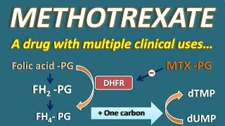 Diseasemodifying antirheumatic drugs DMARDs Part 1  Pharmacology [upl. by Amalburga]