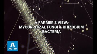 A Farmers View Mycorrhizal Fungi amp Rhizobium Bacteria [upl. by Sailesh]