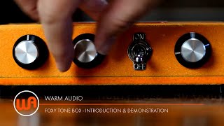 Warm Audio  Foxy Tone Box  Introduction amp Demonstration [upl. by Ikcir921]