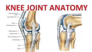 Arthroscopic Knee Surgery Meniscus Tear [upl. by Otto906]