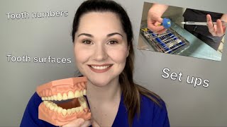 Dental assisting 101 The basics [upl. by Kepner]