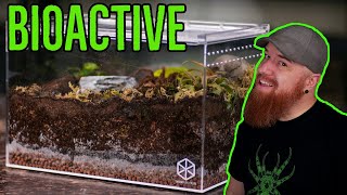 How To Build a Tarantula Bioactive Enclosure  YOU CAN DO IT [upl. by Sherard822]