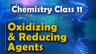 Oxidizing and Reducing Agents  Redox Reaction  Chemistry Class 11 [upl. by Guzel568]