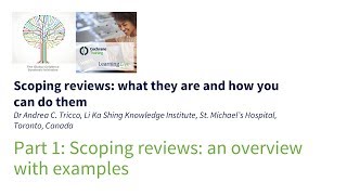 Scoping reviews an overview with examples [upl. by Arlan246]