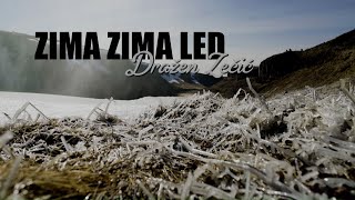 Dražen Zečić  Zima zima led Official lyric video [upl. by Kelula155]