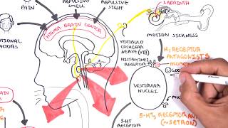 Pharmacology  Antiemetics [upl. by Anirroc812]