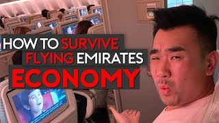 How to Survive Flying Emirates Economy Class Top Tips [upl. by Nowujalo]