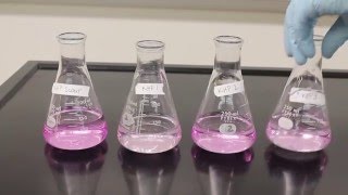 Titration Video [upl. by Sumetra325]