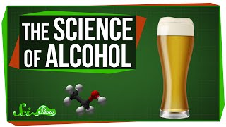 The Science of Alcohol From Beer to Bourbon [upl. by Eindys]