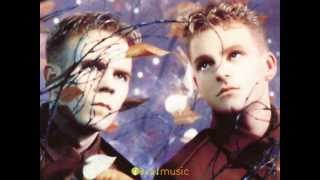 erasure  sometimes with lyrics HQ [upl. by Ellekram]