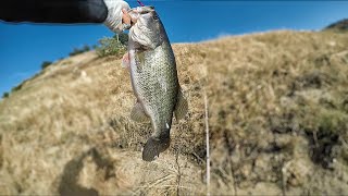 LAKE KAWEAH  BANK FISHING  BANGBASS559 [upl. by Eissed]