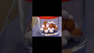 Do Eggs SURVIVE a Vacuum Chamber [upl. by Otrevogir]