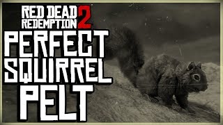 HOW TO GET A PERFECT WHITETAIL DEER PELT  RED DEAD REDEMPTION 2 PRISTINE DEER HUNT [upl. by Pope137]