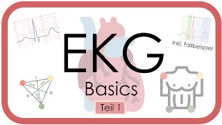 EKG Basics  Step by Step  Grundlagen Einthoven Frequenz Lagetyp PWelle QRS EKGKurs [upl. by Lanie]