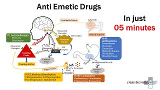 Pharmacology of Emesis Anti emetic Drugs Part  2 [upl. by Persson]