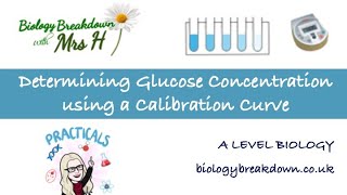 Determining Glucose Concentration using a Calibration Curve [upl. by Lleznod665]